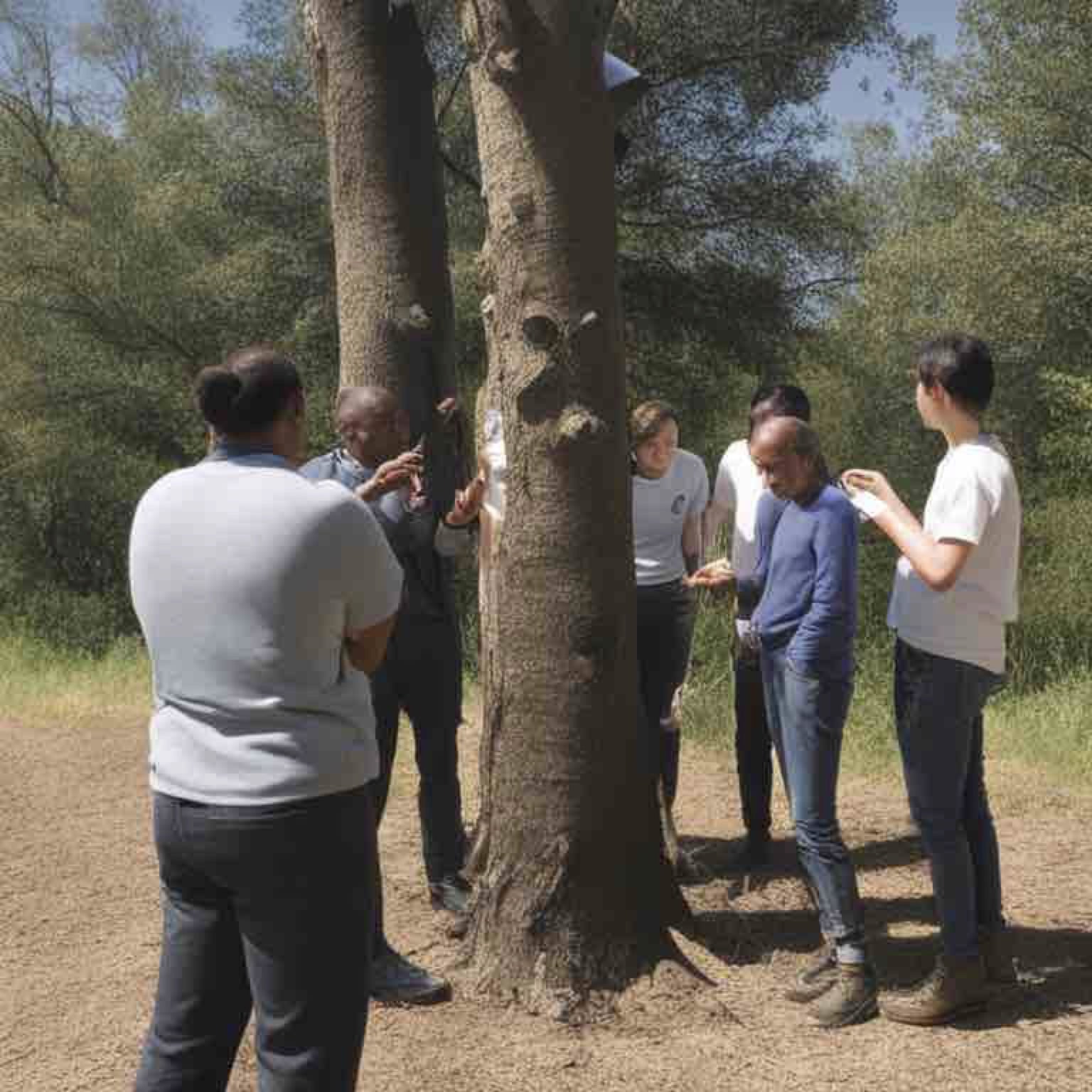 Best Practices for Tree Testing