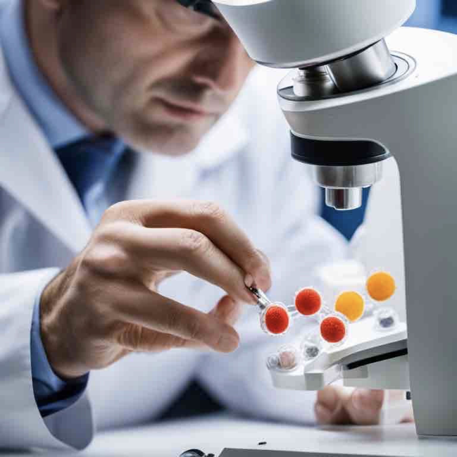The Future of Materials Science: Nanotechnology and Beyond